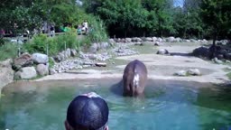 Worlds Biggest Fart - The Hippo