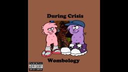 Wombology - During Crisis