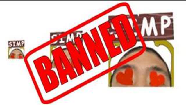 TWITCH IS FUCKING STUPID!!!!