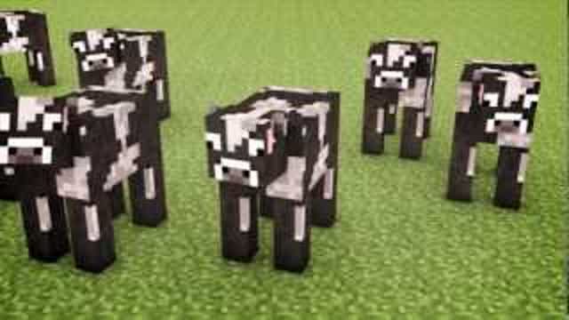 Minecraft Cows & Minecraft Cows & Minecraft Cows