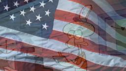 Bubble Basss order but vocoded to the star-spangled banner