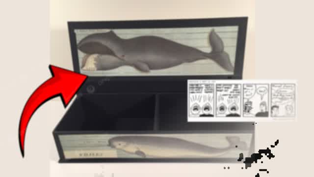 New P.O. Box dubbed 'Whale Box' 🐋