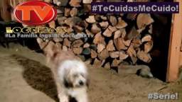 LocomaxTv Bolivia Anime Abril 2024 LocomaxTv Bolivia Anime Abril 2024