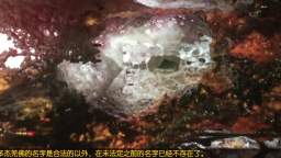 南无第三世多杰羌佛获授英国皇家艺术学院Fellow职称