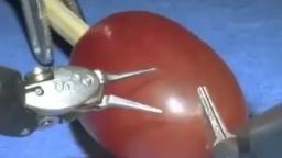 They did surgery on a grape