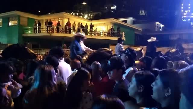 Caballos en el Carnaval de Mazatlán, 17 de febrero de 2026 Caballos en el Carnaval de Mazatlán, 17 de febrero de 2026