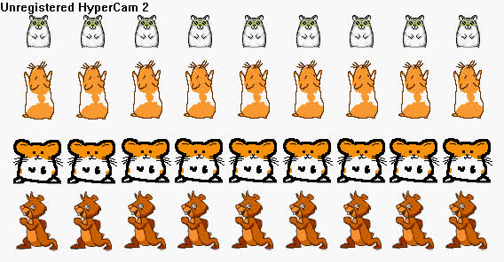 The Death Of Hampsterdance!