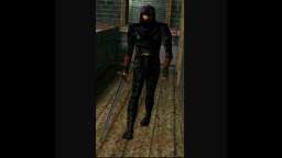 Thief Gold - Sound Effects - Thief Sword Guard