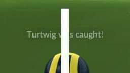 Pokémon GO-Dawn Hat Turtwig