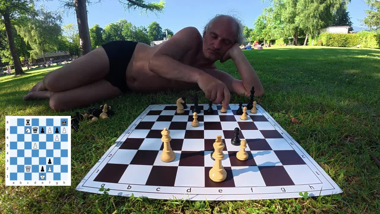 Many queen sacrifices in chess – Study by Peter Krug