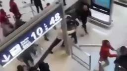 A mass brawl broke out at Paris airport as authorities tried to deport a Kurdish activist to Turkey.