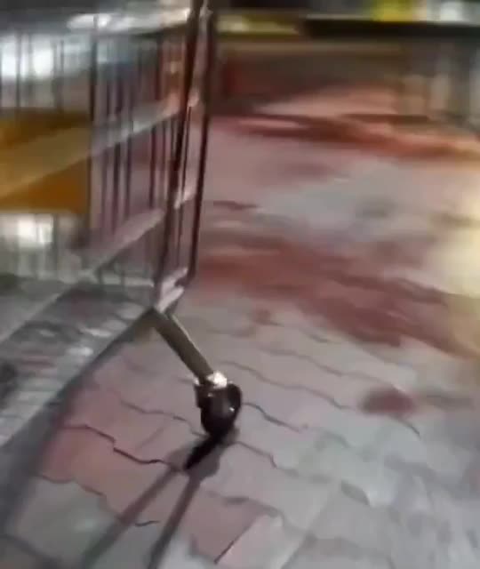 biedronka shopping cart