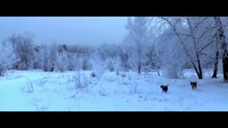 Happy Holidays - VidLii