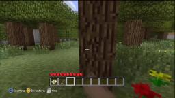 A Look Back at Minecraft