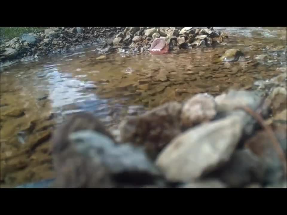 The Lost Videos “Dinosaur Test”