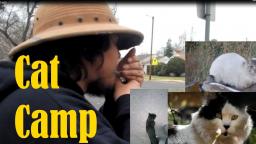 Cat Camp