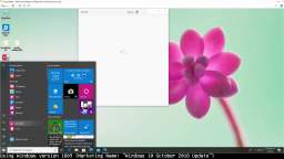 Installing every major Windows 10 release, Part 11