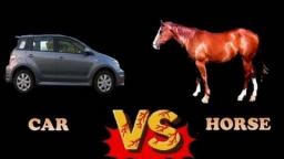 Horses VS. Cars