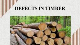Timber Defects: A Comprehensive Guide to Knots, Shakes, & Cracks