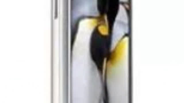 stupidstuff.wmv