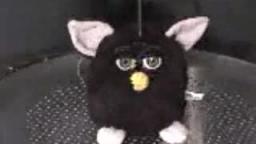 Furby