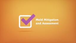 ALL US Mold Removal & Remediation in Bakersfield CA : Home Inspector