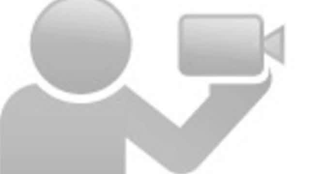 Cow VS Pig Cow VS Pig