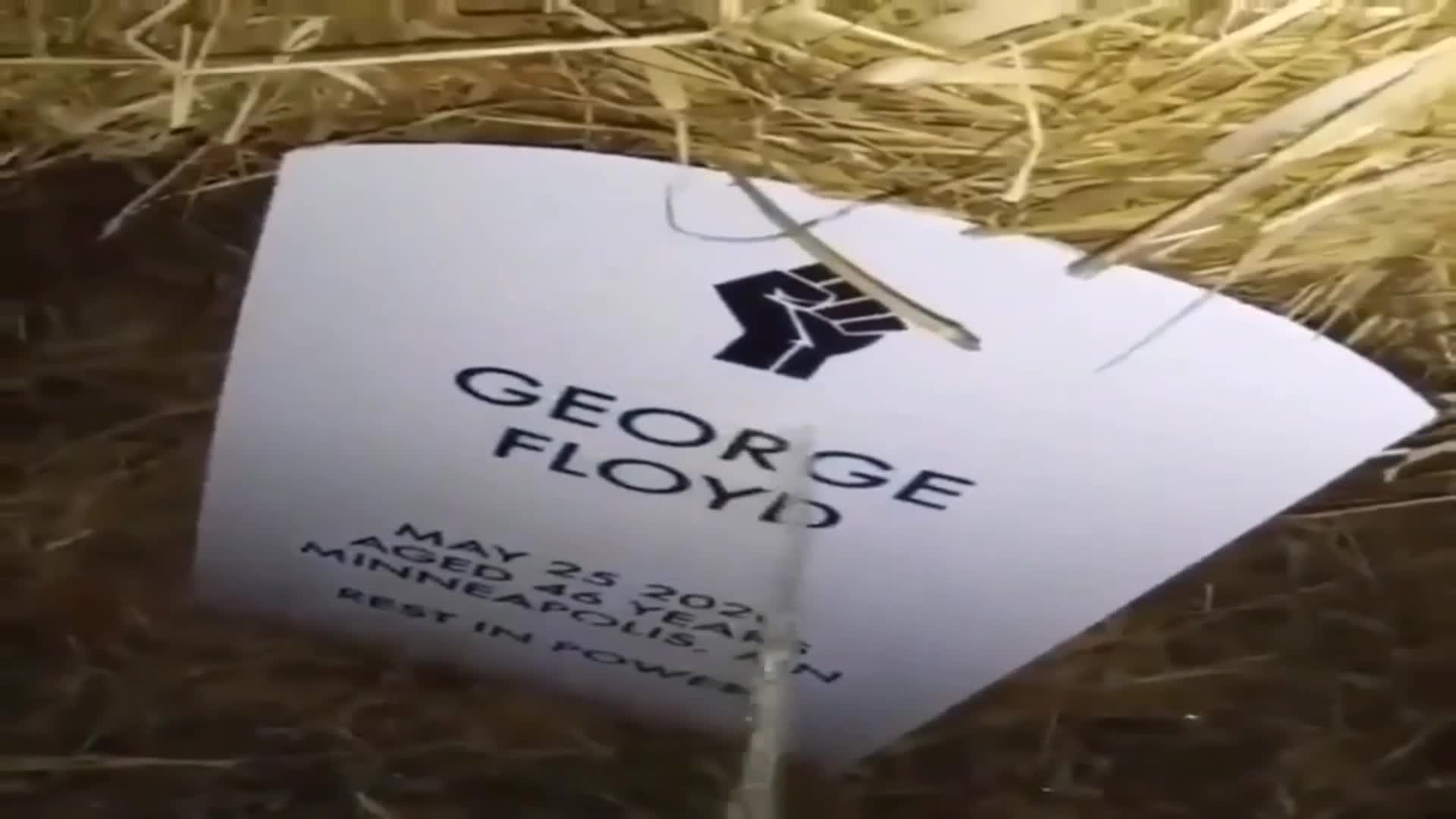 Rest In Piss George Floyd