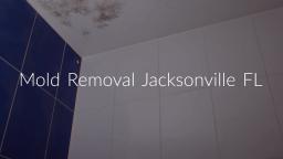 Best Mold Removal in Jacksonville, FL