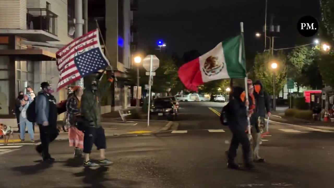 patriotas vão à rua protestar contra o governo da terra dos mutts