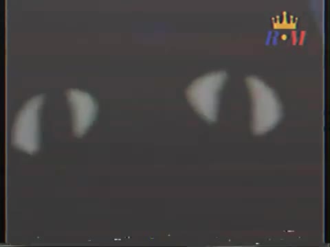 Trailer 1