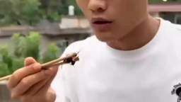 Chino comiendo velutinas / Chinese eating velutins