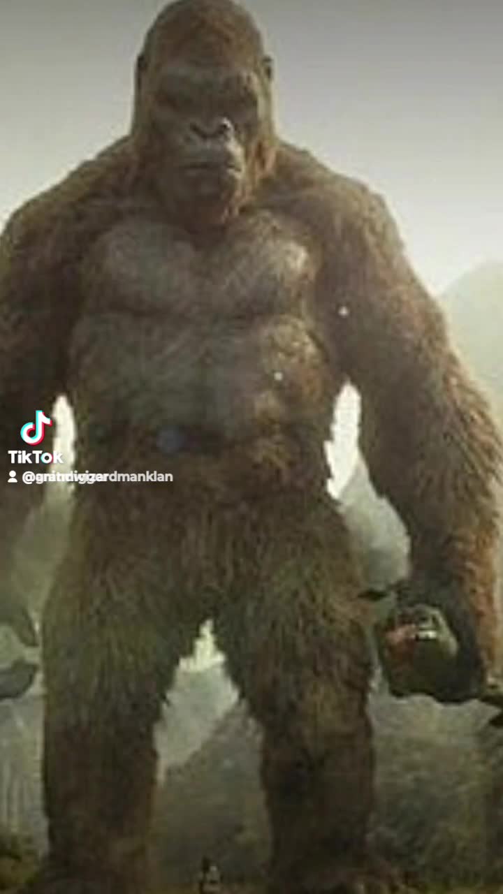 NIGGER