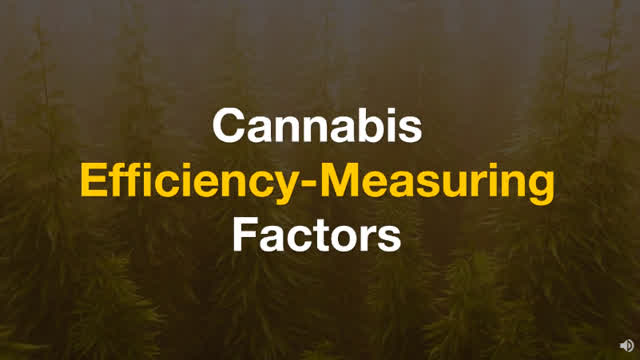 Cannabis_Efficiency-Measuring_Factors