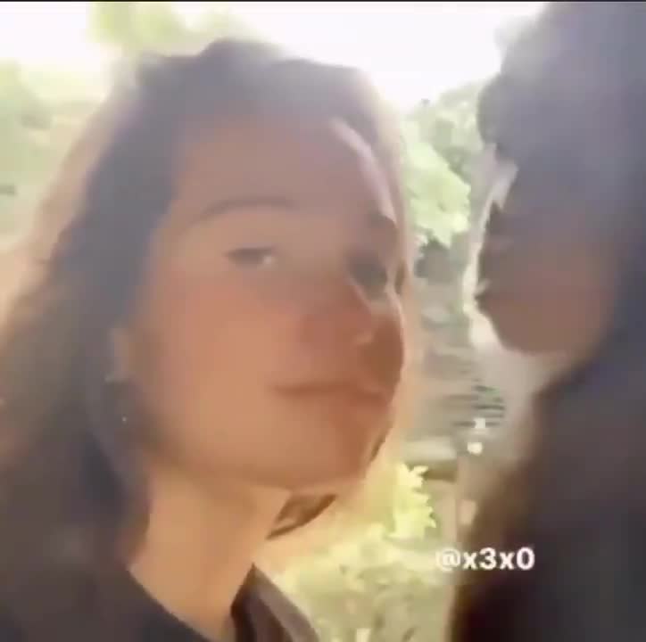 chimp dream