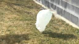 Another plastic bag flies over fence - Recorded on March 15, 2022, at 3:22PM MT