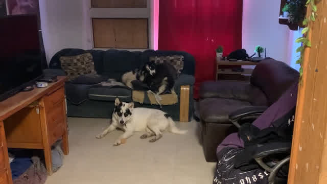 Green Day And Chilling