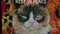 RIP GRUMPY CAT 2012 - 2019