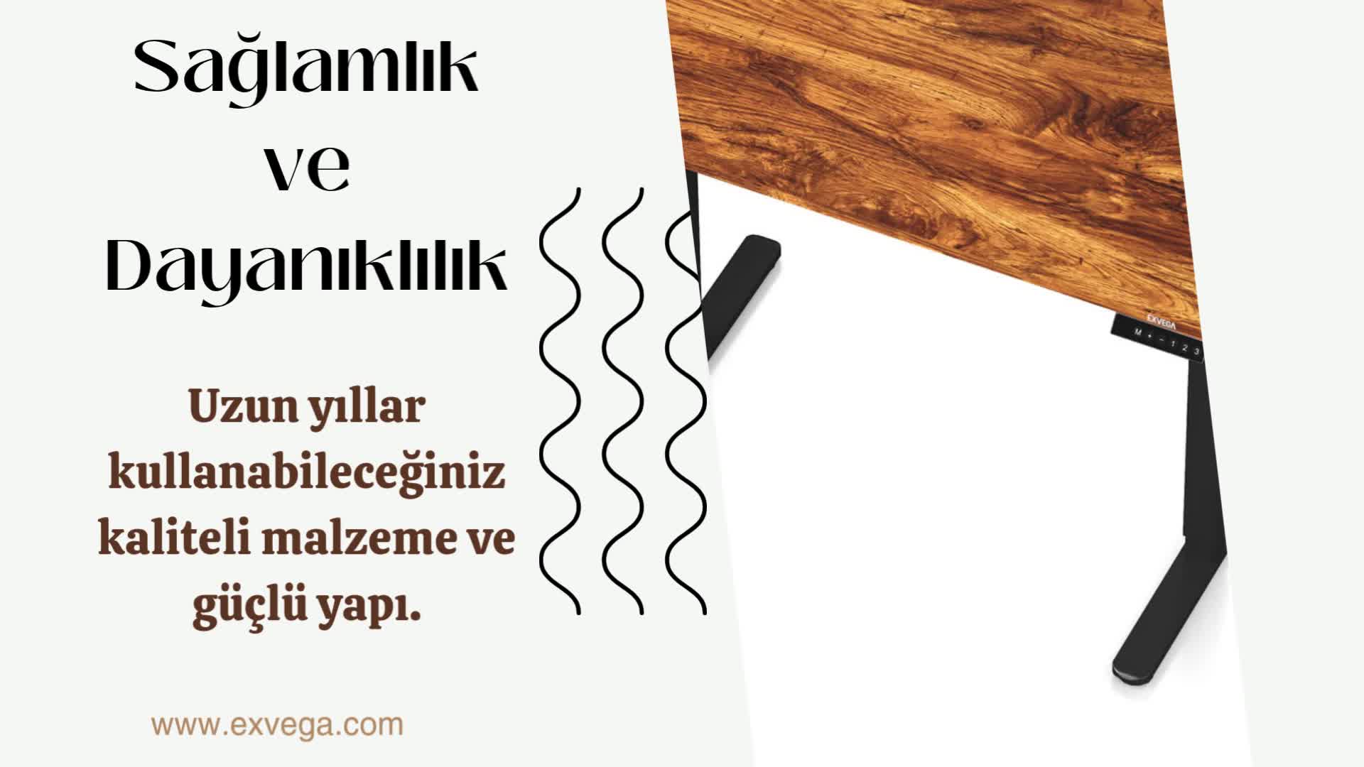 EXVEGA Oyuncu Masası