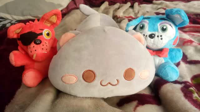 ZombiePlushStudios: Toy Bonnie and Foxy Giant Cat Problem
