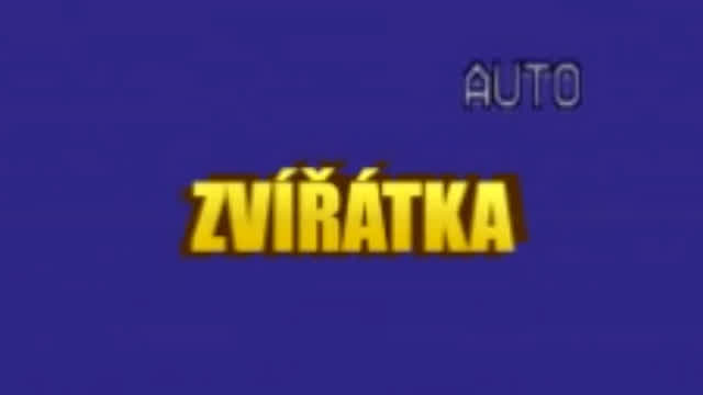 Zvířátka - český analogový horor