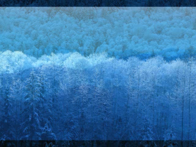 Los Wallpapers mas bonitos que veras hoy