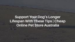 Support Your Dog’s Longer Lifespan With These Tips _ Cheap Online Pet Store Australia