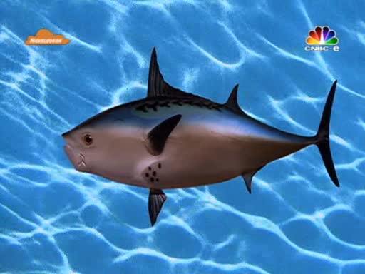 SüngerBob KareŞort - Hastalık (S1B19)