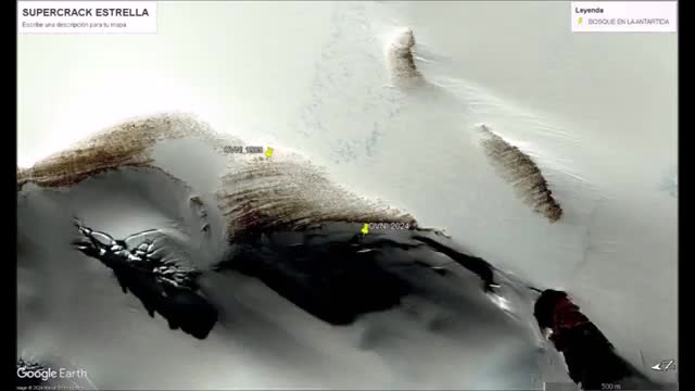 292 Los secretos bosques de la Antártica