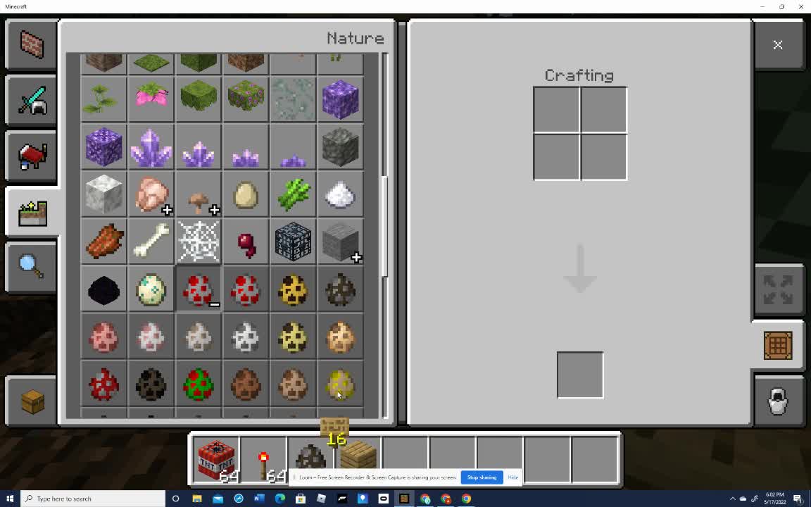 Creating Mayhem in Minecraft