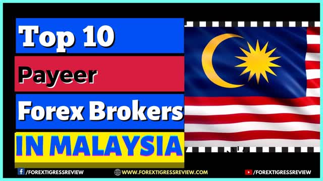 10 Forex Brokers Accepts Payeer - Malaysia Forex Trading