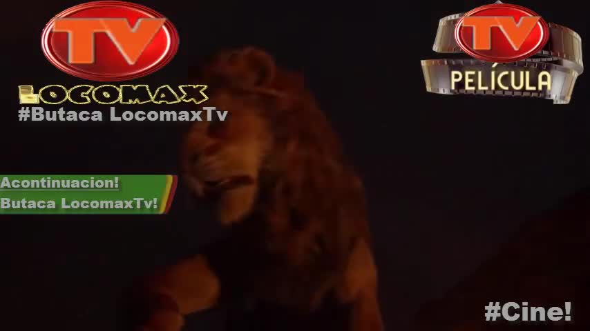 LocomaxTv Bolivia Anime Junio 2025