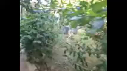 random video