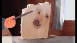 bark